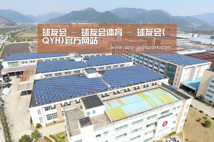 案例展示二