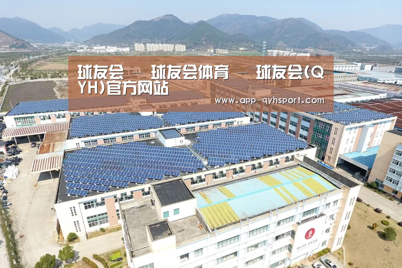 案例展示一