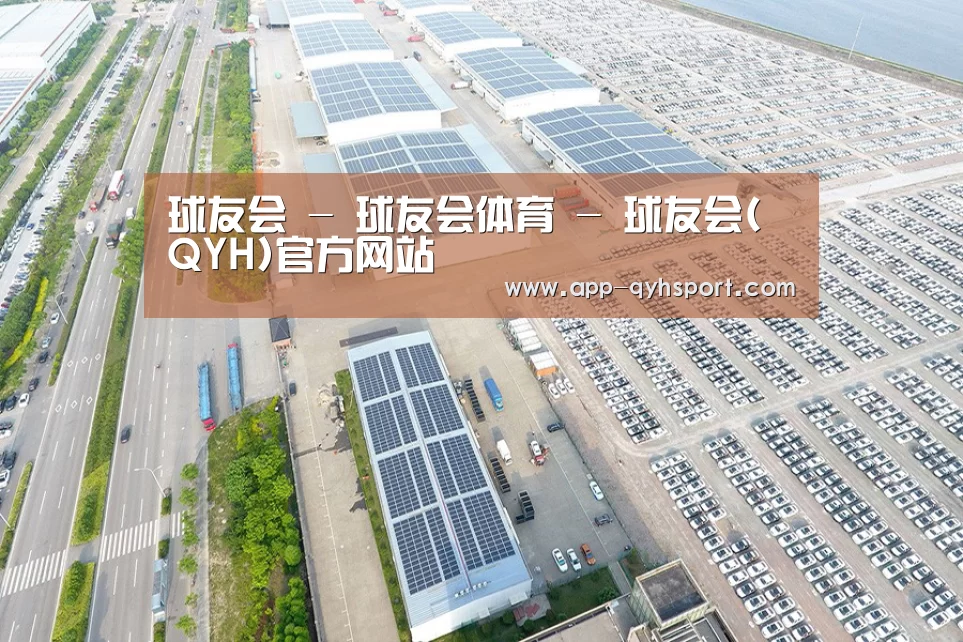 案例展示一