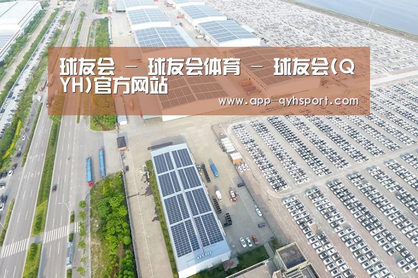 案例展示二