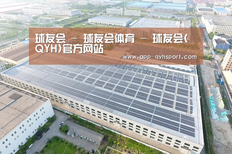 案例展示四