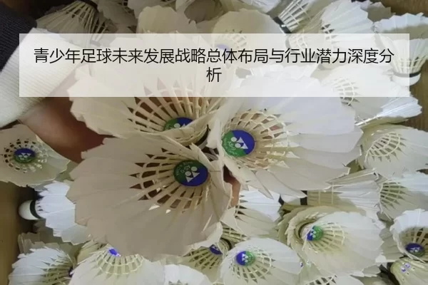 青少年足球未来发展战略总体布局与行业潜力深度分析