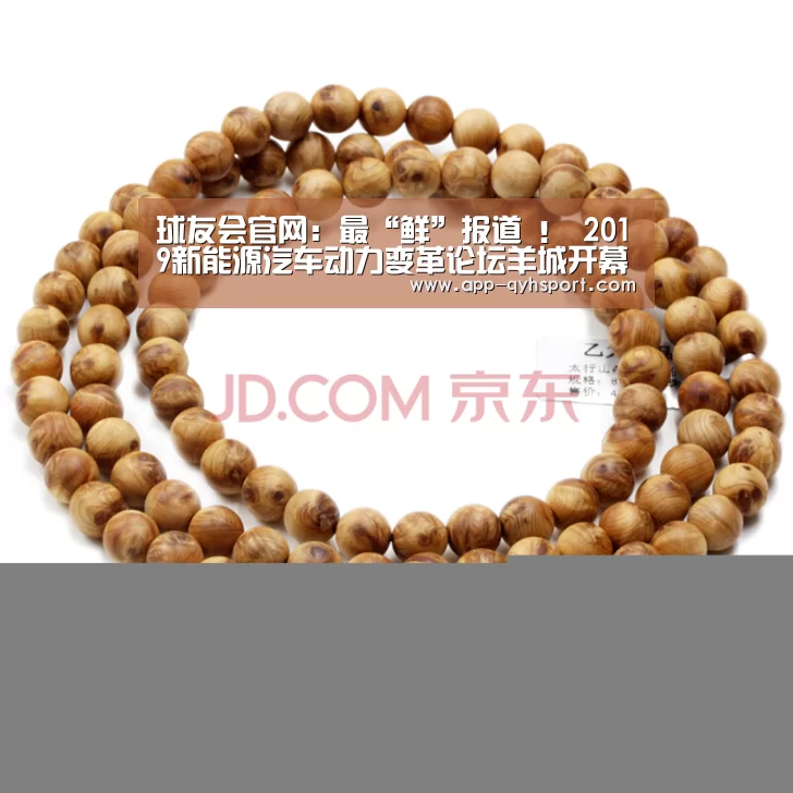 球友会官网:最“鲜”报道 ! 2019新能源汽车动力变革论坛羊城开幕(图3) 球友会体育